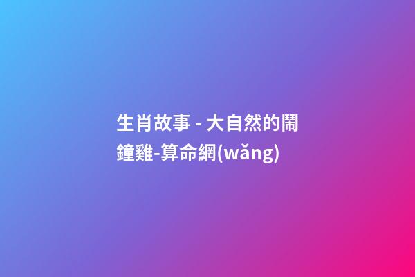 生肖故事 - 大自然的鬧鐘雞-算命網(wǎng)